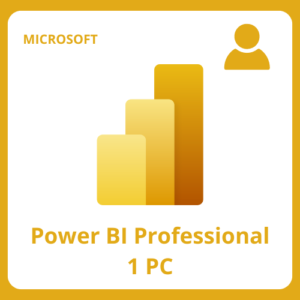 Power Bi Professional 1 PC